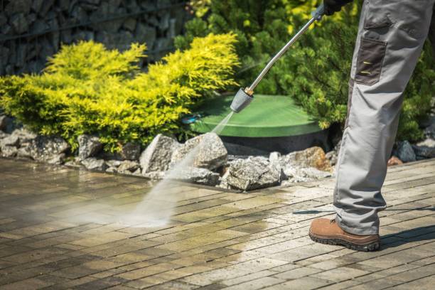 Best Animal Enclosure Cleaning  in Jupiter Farms, FL